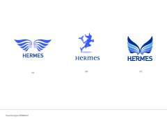 Logos pour le projet Hermès